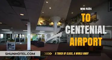 Who Flies to Centennial Airport? Exploring Passenger Demographics and Trends