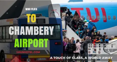 Who Flies to Chambery Airport? Travelers, Skiers, and More Explained