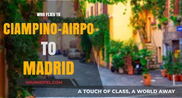 Travelers Flying Ciampino Airport Rome to Madrid: Who and Why?