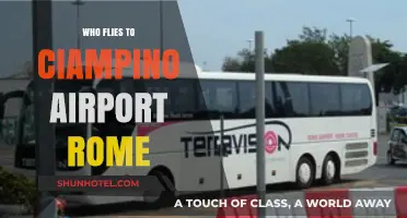 Discovering Travelers: Who Flies to Ciampino Airport in Rome?