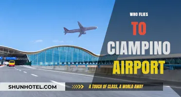 Who Flies to Ciampino Airport? Exploring Its Key Airlines and Passengers