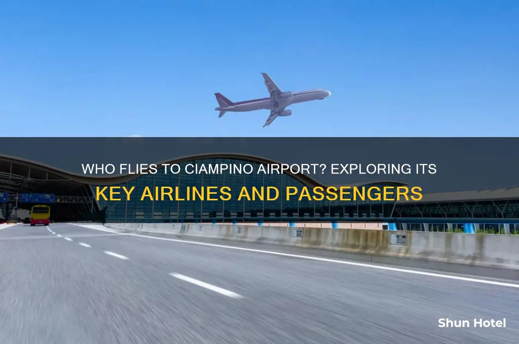 who flies to ciampino airport