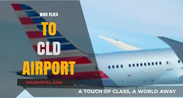 Who Flies to CLD Airport? Exploring Passengers and Airlines