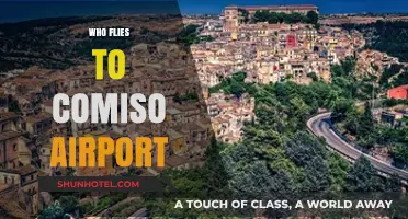 Discovering Comiso Airport: Who Flies In and Out?