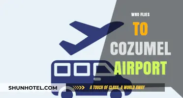Who Flies to Cozumel Airport? Top Airlines and Routes Revealed