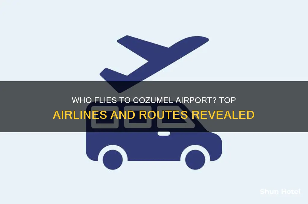 who flies to cozumel airport