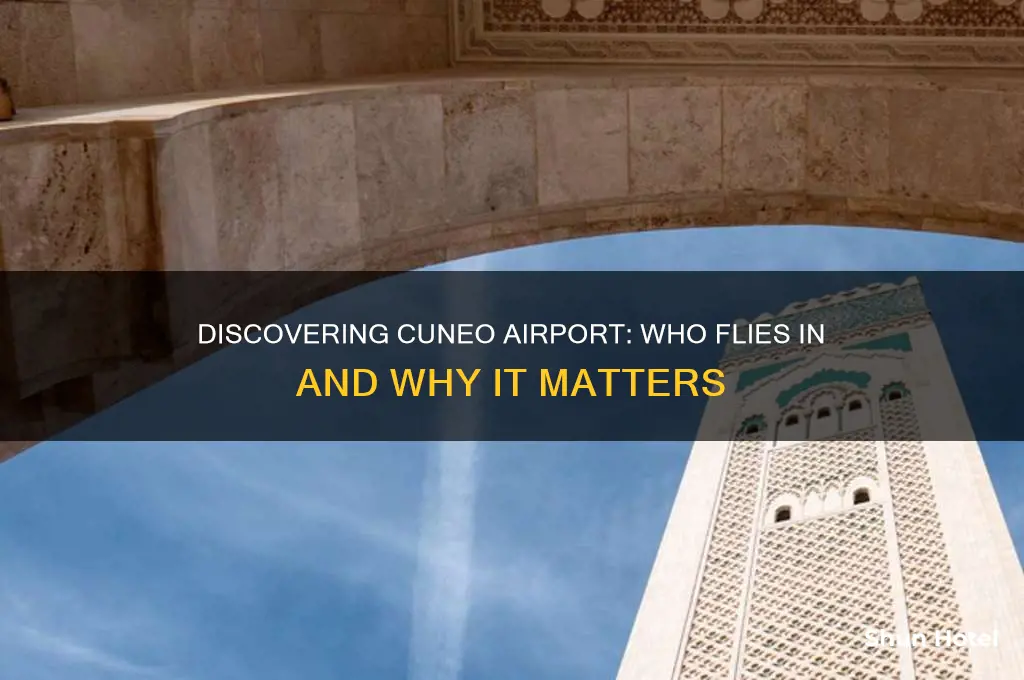 who flies to cuneo airport