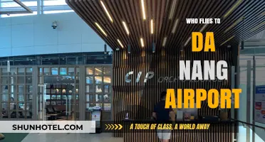 Discovering Da Nang: Who Flies to Its International Airport?