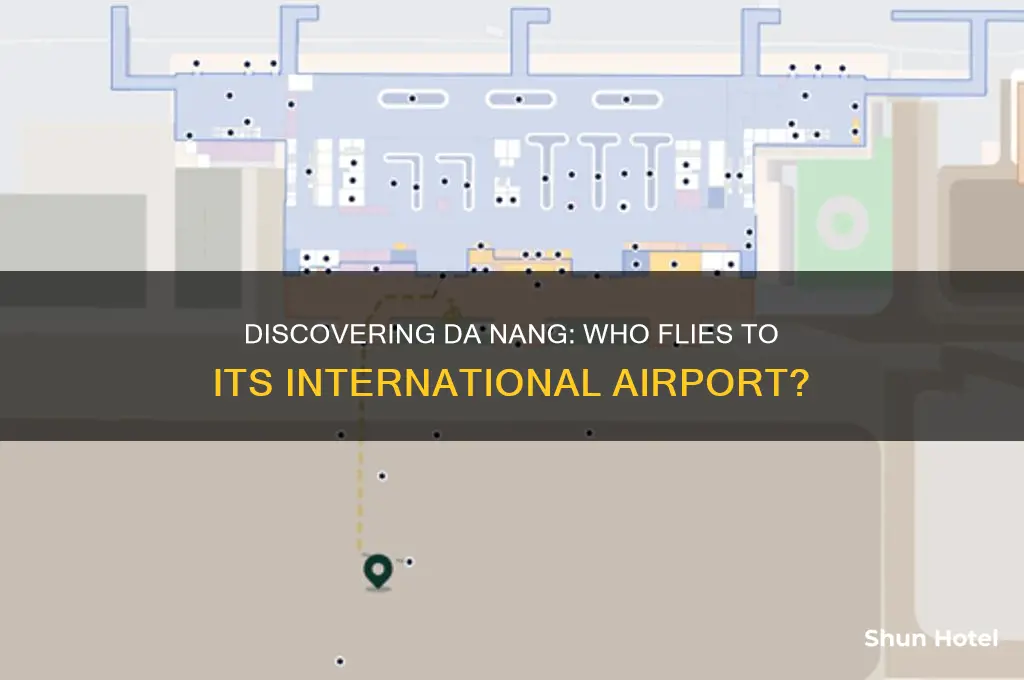who flies to da nang airport