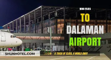 Who Flies to Dalaman Airport? Top Airlines and Destinations