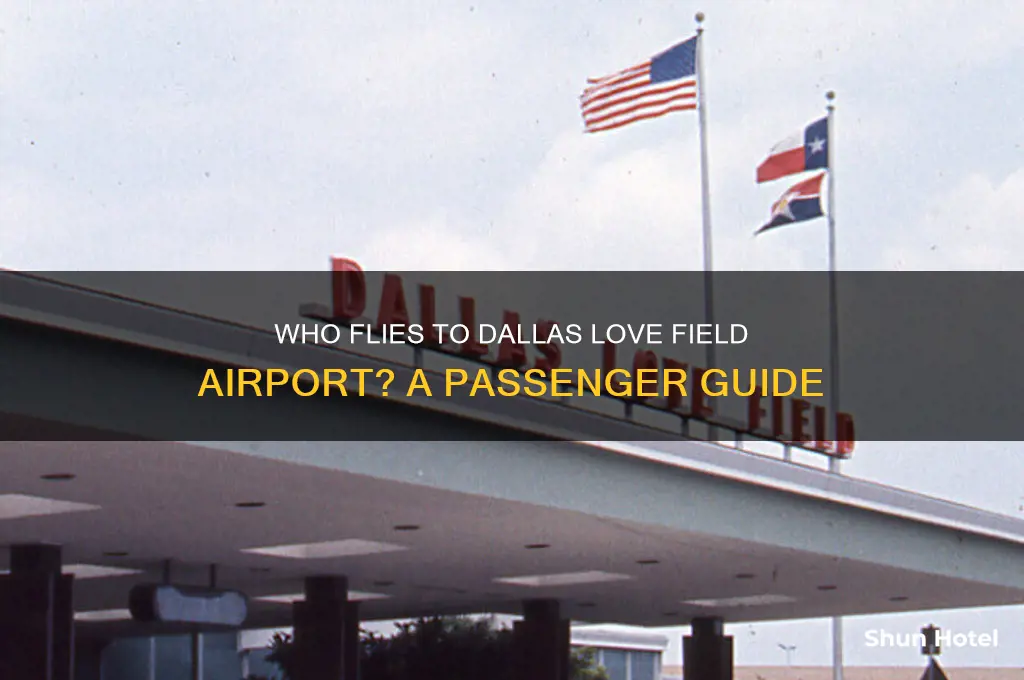 who flies to dallas love field airport