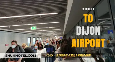 Who Flies to Dijon Airport? Exploring Passenger Demographics and Trends
