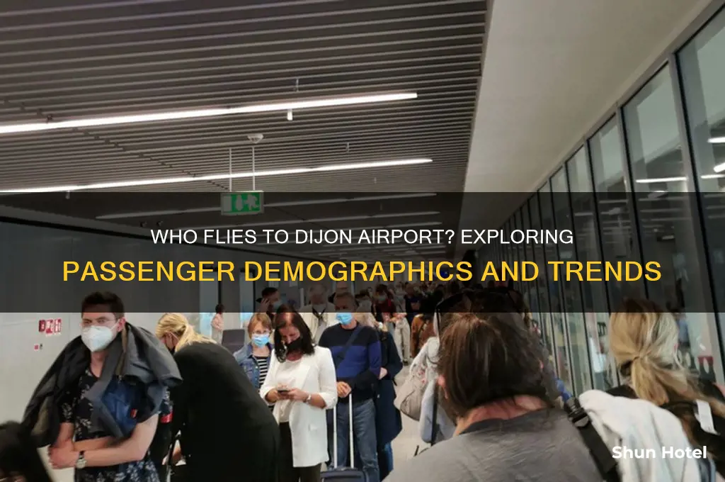 who flies to dijon airport