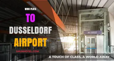 Who Flies to Dusseldorf Airport? Key Airlines and Passenger Insights