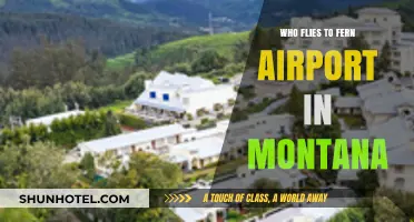 Who Flies to Fern Airport in Montana? Exploring the Travelers