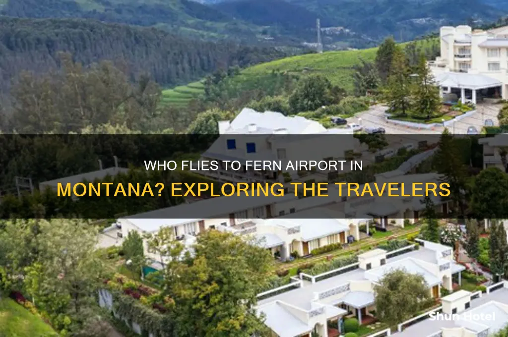 who flies to fern airport in montana