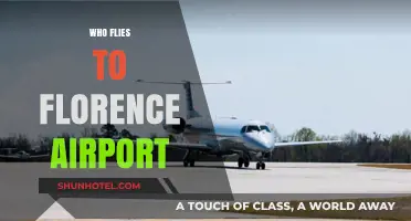 Who Flies to Florence Airport? Top Airlines and Routes Revealed