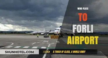 Discovering Forlì Airport: Who Flies In and Why It Matters
