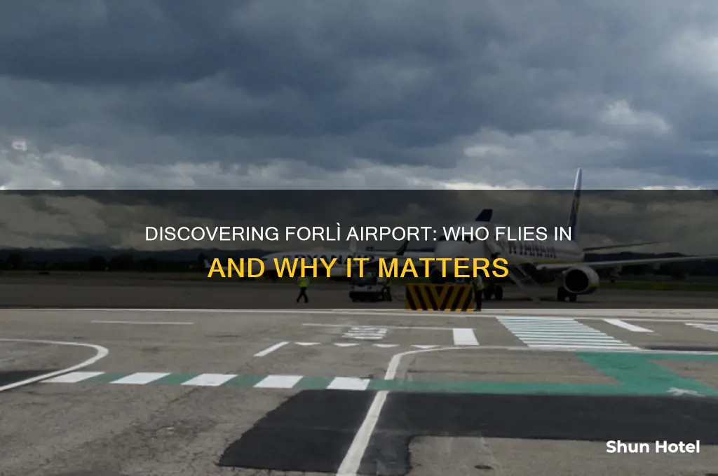 who flies to forli airport
