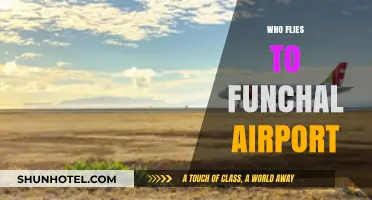Discovering Funchal Airport: Who Flies to Madeira's Gateway?