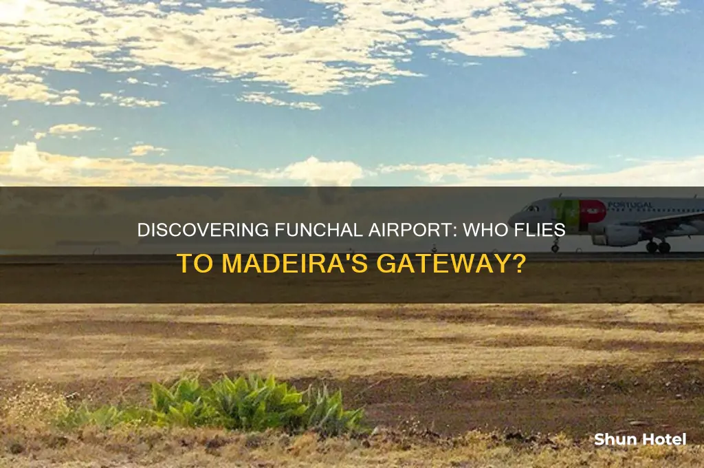 who flies to funchal airport
