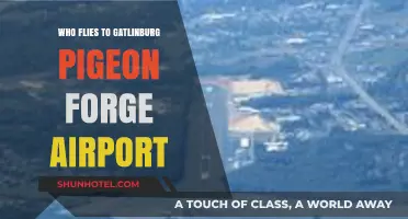Who Flies to Gatlinburg Pigeon Forge Airport: Your Travel Guide