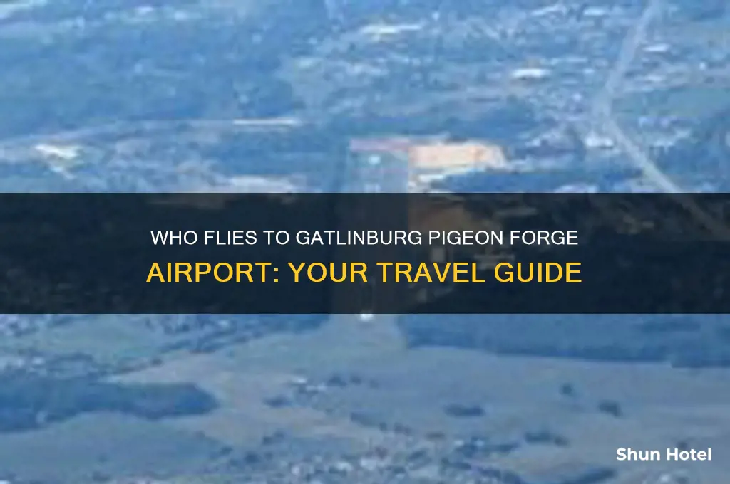 who flies to gatlinburg pigeon forge airport