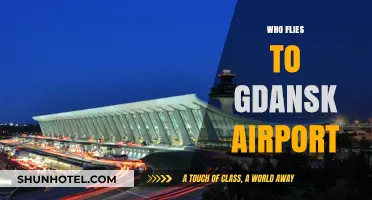 Discovering Gdansk: Who Flies to This Charming Polish Airport?