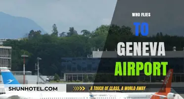 Who Flies to Geneva Airport? Top Airlines and Routes Explained