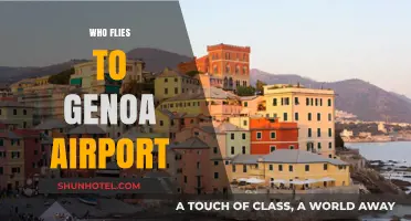 Discovering Genoa Airport: Who Flies In and Why It Matters