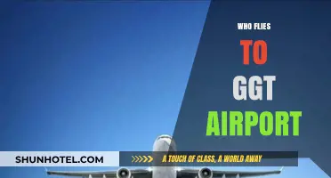 Who Flies to GGT Airport? Exploring Travelers and Airlines Serving Great Exuma