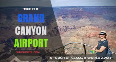 Discovering Grand Canyon Airport: Who Flies There and Why