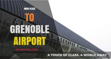 Who Flies to Grenoble Airport? Travelers, Skiers, and Business Visitors