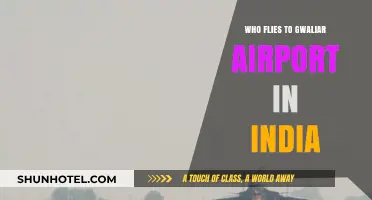 Exploring Gwalior Airport: Airlines and Travelers Heading to India's Historic City