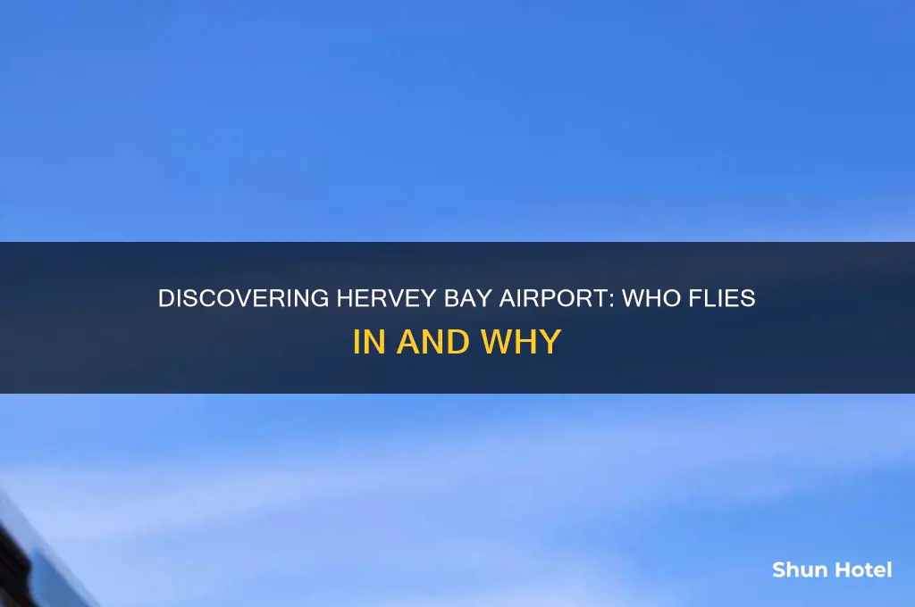 who flies to hervey bay airport