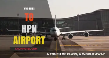 Who Flies to HPN Airport? Exploring Westchester County's Travelers