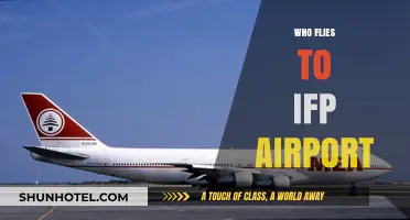 Who Flies to IFP Airport? Exploring Airlines and Passenger Trends