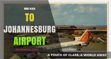 Who Flies to Johannesburg Airport: Exploring Travelers and Airlines