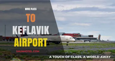 Who Flies to Keflavik Airport? Exploring Iceland's Gateway Visitors