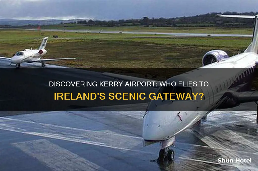 who flies to kerry airport