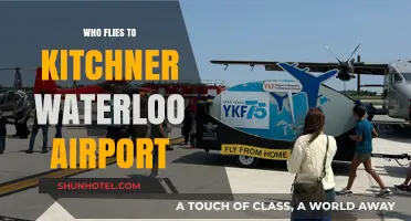 Who Flies to Kitchener Waterloo Airport? Exploring Passenger Demographics