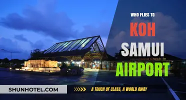 Discovering Koh Samui: Who Flies to Its Airport and Why