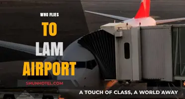 Who Flies to Lam Airport? Exploring Airlines and Routes