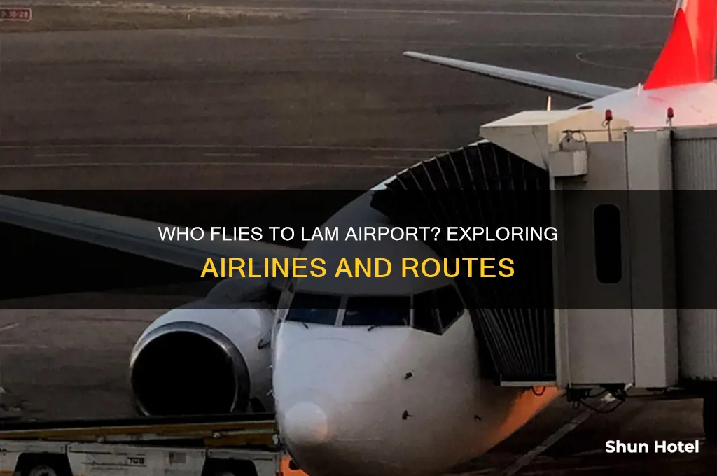 who flies to lam airport