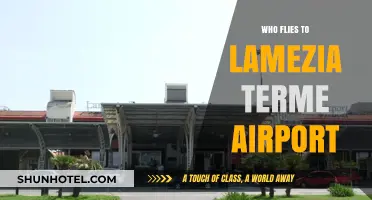 Discovering Lamezia Terme Airport: Who Flies to Calabria's Gateway?