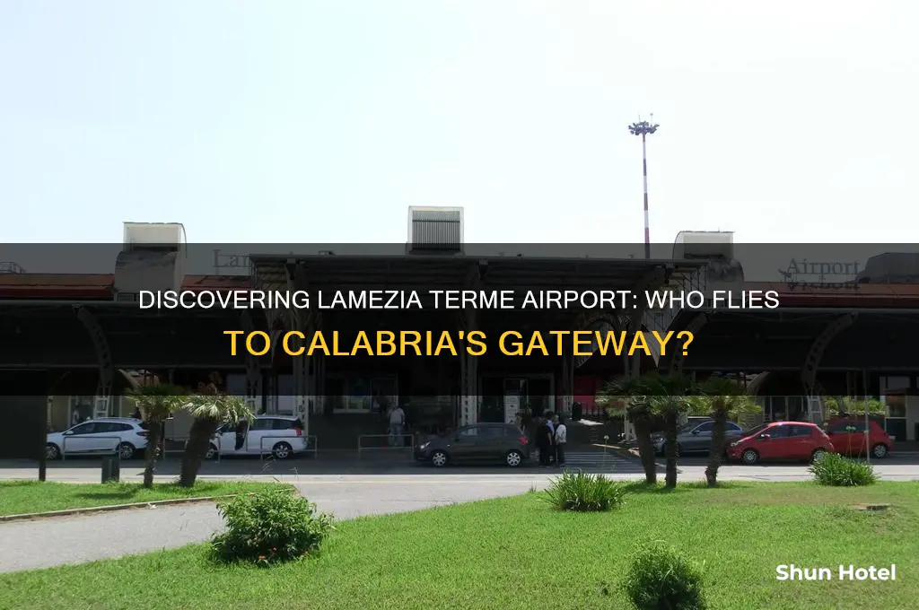 who flies to lamezia terme airport