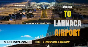 Discovering Larnaca Airport's Diverse Passenger Base: Who Flies In?