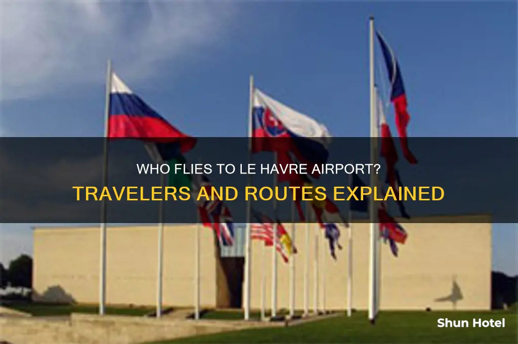 who flies to le havre airport