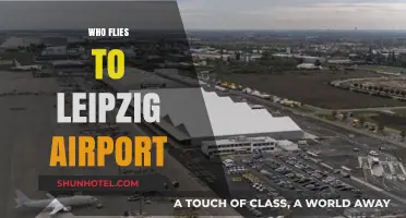 Who Flies to Leipzig Airport? Exploring Passenger Demographics and Trends