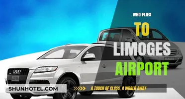 Who Flies to Limoges Airport? Exploring Passenger Demographics and Trends